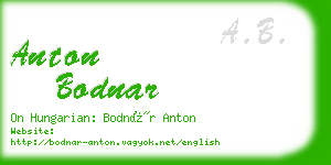 anton bodnar business card